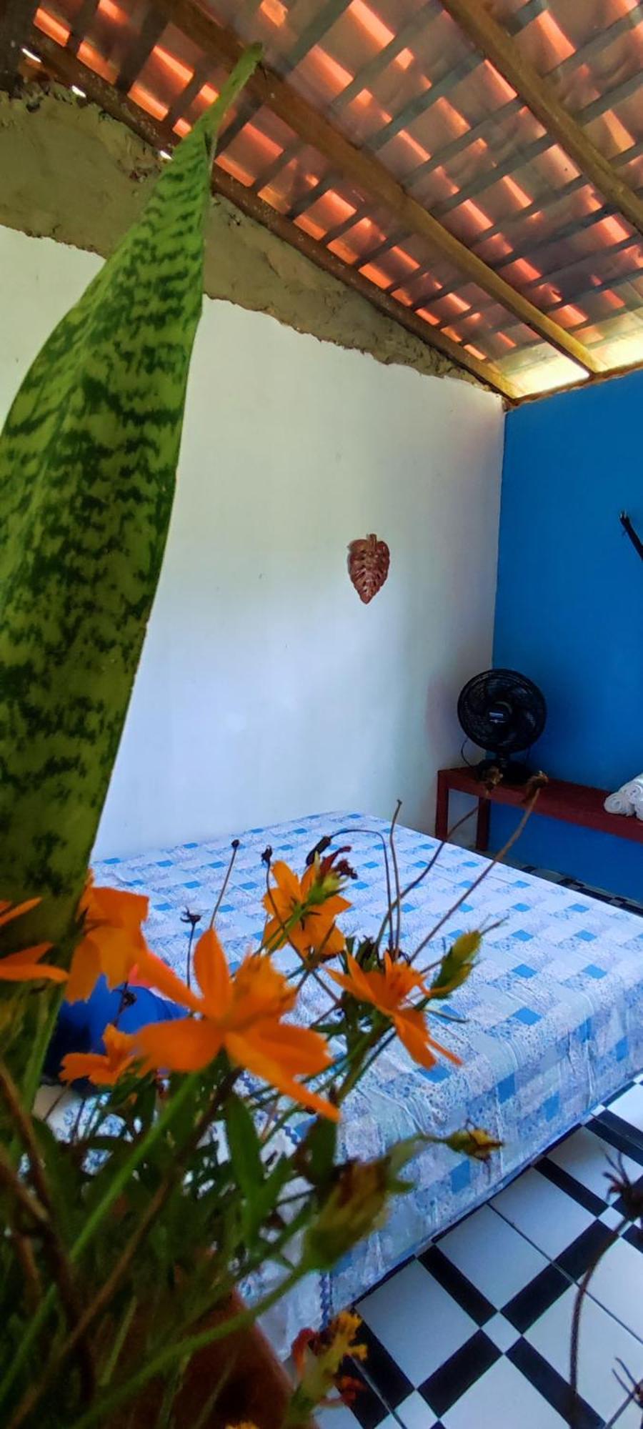 Eco Hostel Lunar Соре Екстер'єр фото