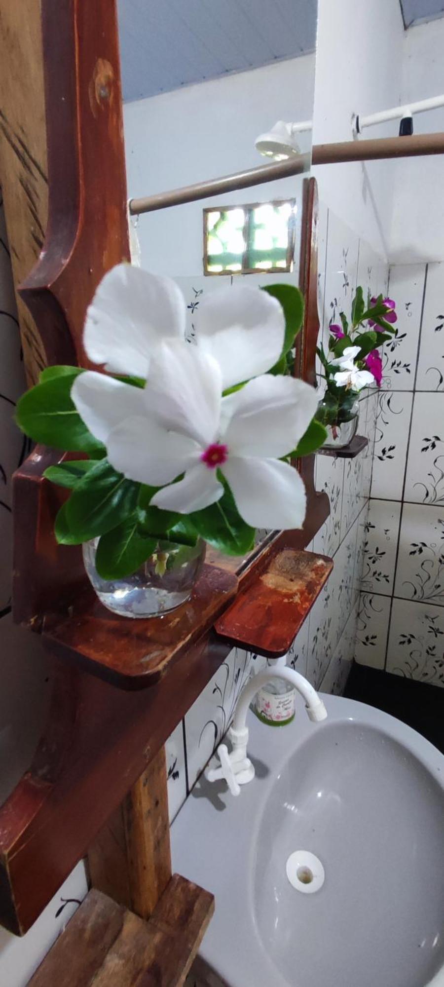 Eco Hostel Lunar Соре Екстер'єр фото